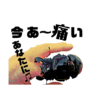 Beetle＆Stag beetle 第3弾（個別スタンプ：17）