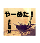 Beetle＆Stag beetle 第3弾（個別スタンプ：20）