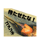Beetle＆Stag beetle 第3弾（個別スタンプ：23）
