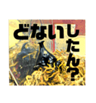 Beetle＆Stag beetle 第3弾（個別スタンプ：24）