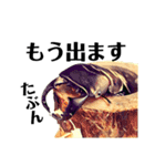 Beetle＆Stag beetle 第3弾（個別スタンプ：25）