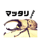 Beetle＆Stag beetle 第3弾（個別スタンプ：27）