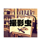 Beetle＆Stag beetle 第3弾（個別スタンプ：28）