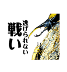 Beetle＆Stag beetle 第3弾（個別スタンプ：32）