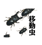 Beetle＆Stag beetle 第3弾（個別スタンプ：38）