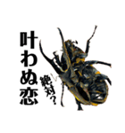 Beetle＆Stag beetle 第3弾（個別スタンプ：39）