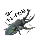 Beetle＆Stag beetle 第1弾（個別スタンプ：7）
