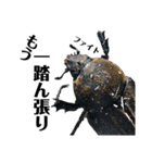 Beetle＆Stag beetle 第1弾（個別スタンプ：9）