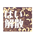 Beetle＆Stag beetle 第1弾（個別スタンプ：16）