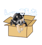 ブラザーズ3.（個別スタンプ：31）