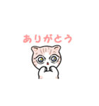 泰ちゃんと猫（個別スタンプ：4）