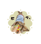 ♡あこ様（個別スタンプ：1）