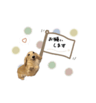 ♡あこ様（個別スタンプ：2）
