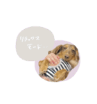 ♡あこ様（個別スタンプ：3）