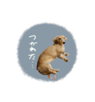 ♡あこ様（個別スタンプ：5）