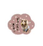 ♡あこ様（個別スタンプ：10）