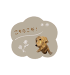 ♡あこ様（個別スタンプ：11）