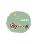 ♡あこ様（個別スタンプ：13）