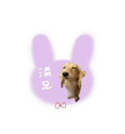 ♡あこ様（個別スタンプ：14）