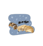 ♡あこ様（個別スタンプ：20）