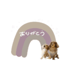 ♡あこ様（個別スタンプ：24）