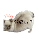 咲月と芽生（個別スタンプ：1）