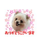 咲月と芽生（個別スタンプ：2）