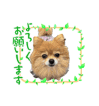 咲月と芽生（個別スタンプ：3）