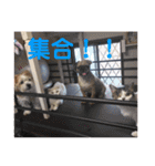 うちの家族(´・ω・｀)（個別スタンプ：14）