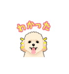 マルプー（犬）（個別スタンプ：3）