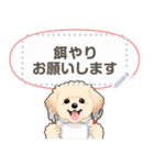 マルプー - msg 1（個別スタンプ：20）