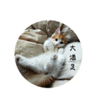 きぬ #3（個別スタンプ：1）