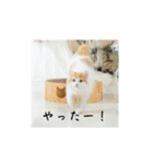 きぬ #3（個別スタンプ：4）