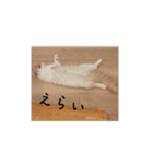 きぬ #3（個別スタンプ：9）