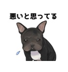 愛犬 ハイジ（個別スタンプ：7）