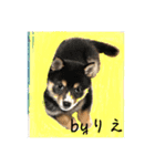 「byりえ」さんのわんちゃんの癒される毎日（個別スタンプ：24）