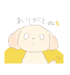ふわもふクリームトイプーだぬ（個別スタンプ：2）