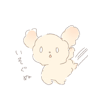 ふわもふクリームトイプーだぬ（個別スタンプ：5）