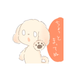 ふわもふクリームトイプーだぬ（個別スタンプ：6）