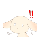 ふわもふクリームトイプーだぬ（個別スタンプ：11）