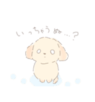 ふわもふクリームトイプーだぬ（個別スタンプ：16）