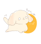 ふわもふクリームトイプーだぬ（個別スタンプ：22）