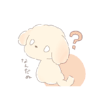 ふわもふクリームトイプーだぬ（個別スタンプ：32）