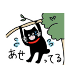 くろねこのしっぽ丸（個別スタンプ：26）