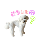 今日のSunny Tony part3（個別スタンプ：2）