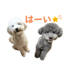 今日のSunny Tony part3（個別スタンプ：3）