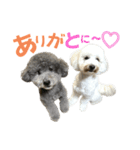 今日のSunny Tony part3（個別スタンプ：9）