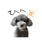 今日のSunny Tony part3（個別スタンプ：10）