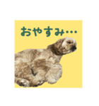 アルスタンプ②（個別スタンプ：5）