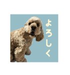 アルスタンプ②（個別スタンプ：9）